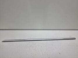 BMW 7 F01 F02 F03 F04 Front door trim (molding) 