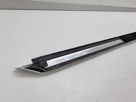 BMW 7 F01 F02 F03 F04 Front door trim (molding) 