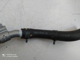 Hyundai Elantra Tubo flessibile della linea di scarico acqua 254802E000