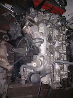 SsangYong Rexton Moottori 66592522501939