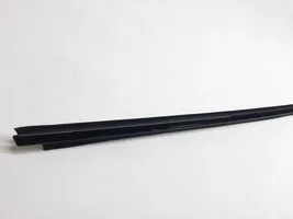 BMW 4 F32 F33 Front door windshield rail 7295571