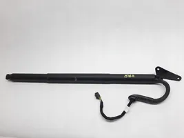 Volkswagen Tiguan Tailgate strut 5NA827851