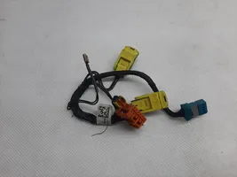 Volkswagen Phaeton Other wiring loom 3D0971582T