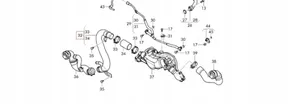 Lamborghini Urus Tuyau de liquide de refroidissement moteur 0P2121481A