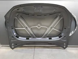 Volkswagen Amarok Dangtis variklio (kapotas) maska