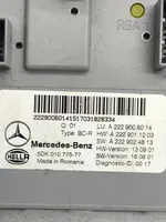 Mercedes-Benz GLC X253 C253 Autres unités de commande / modules A2229006014