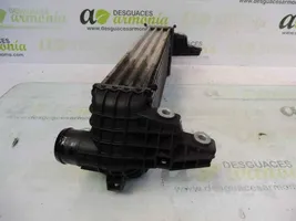 Ford Tourneo Radiatore intercooler 