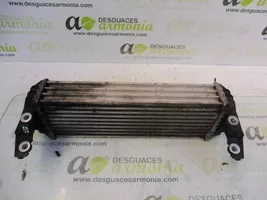 Ford Tourneo Radiatore intercooler 