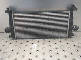 Ford Tourneo Starpdzesētāja radiators 13267646