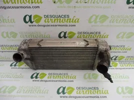 Ford Fiesta Radiatore intercooler 281904X90X