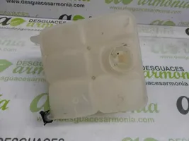 Chevrolet Aveo Vaso di espansione carburante 