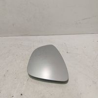 Volkswagen PASSAT B7 Wing mirror glass 544289