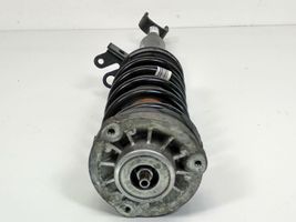 Mercedes-Benz C W202 Ammortizzatore anteriore 31316863893