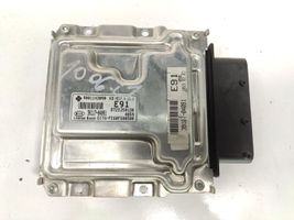 KIA Picanto Sterownik / Moduł ECU FE60FS00500