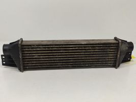 SsangYong Rexton Interkūlerio radiatorius Y22023710