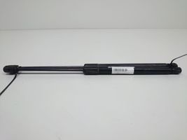 Volkswagen Eos Tailgate/trunk strut/damper 3C9827550