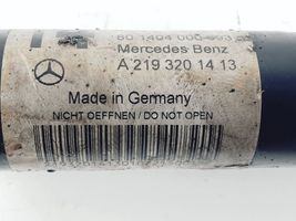 Mercedes-Benz CLS C219 Etuiskunvaimennin A2193201413