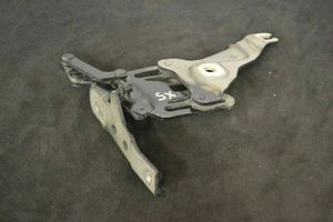 BMW X5 E70 Set di cerniere portiera anteriore 7148347 