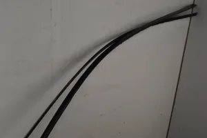 BMW 5 F10 F11 Dekoratīva jumta lenta – "moldings" 7203132