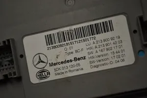 Mercedes-Benz E W213 Mukavuusmoduuli a2139009219