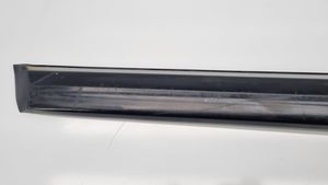 BMW 5 E28 Rivestimento portiera posteriore (modanatura) 1871698