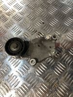 Volvo V70 Napinacz paska wielorowkowego / Alternatora 418484