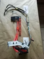 Toyota Prius (XW30) Bateria pojazdu hybrydowego / elektrycznego 8989252010