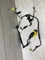 Renault Clio V Other wiring loom 4060579