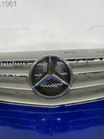 Mercedes-Benz B W245 Grotelės viršutinės A1698800183