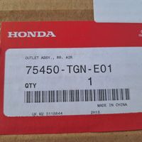 Honda Civic X Lokasuojan ritilä 75450TGNE01