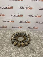 Renault Scenic I Nuts/bolts 