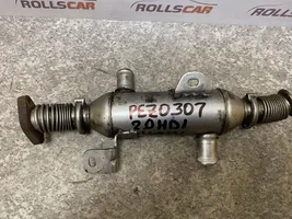 Peugeot 307 Valvola di raffreddamento EGR 869922R