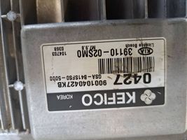 KIA Picanto Sterownik / Moduł ECU 3911002SM0