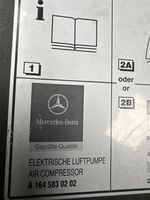 Mercedes-Benz R W251 Rengaspainekompressori A1645830202