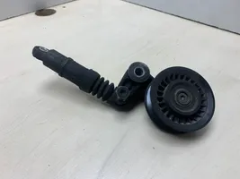 Volkswagen Crafter Napinacz paska alternatora 076145283