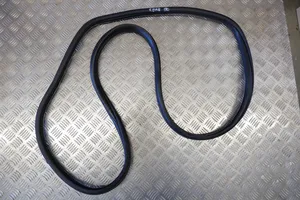 BMW X3 F25 Rear door rubber seal (on body) 7396555