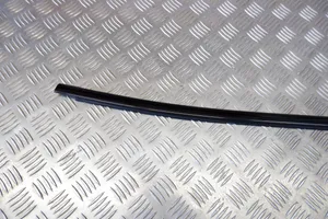 BMW X3 F25 Rear door trim (molding) 