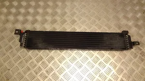 Jeep Grand Cherokee (WK) Stūres pastiprinātāja radiators 