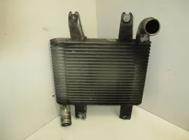 Hyundai Terracan Radiatore intercooler 281904X40X