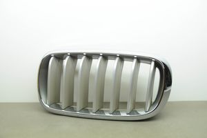 BMW X5 F15 Grille de calandre avant 7308660