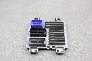 Opel Mokka X Sterownik / Moduł ECU 12670310