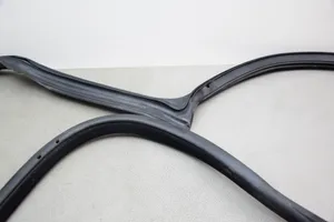 BMW 4 F32 F33 Front door rubber seal 7279741