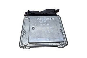 Toyota Corolla E140 E150 Sterownik / Moduł ECU 8966102E10