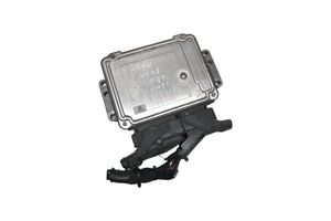 Hyundai Accent Unité de commande, module ECU de moteur 391012A415