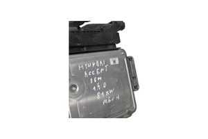 Hyundai Accent Centralina/modulo motore ECU 391012A415