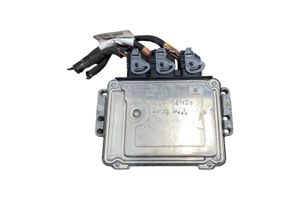 Peugeot 207 Sterownik / Moduł ECU 9663755480