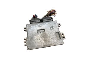 Suzuki Grand Vitara II Engine control unit/module 3392064J0