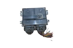 Suzuki Grand Vitara II Engine control unit/module 3392064J0