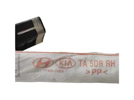 KIA Picanto Airbag da tetto 1Y85020000