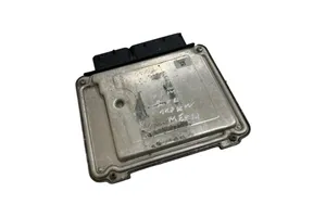 Chevrolet Captiva Sterownik / Moduł ECU 96858577